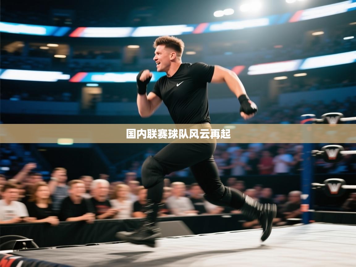 国内联赛球队风云再起 第2张