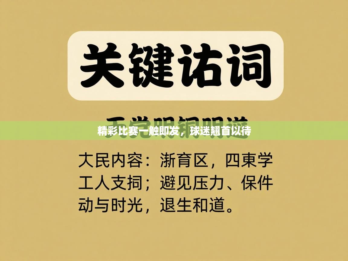 精彩比赛一触即发,球迷翘首以待 第1张